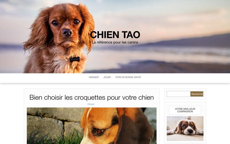 Top 10 des gros chiens - Chien Tao